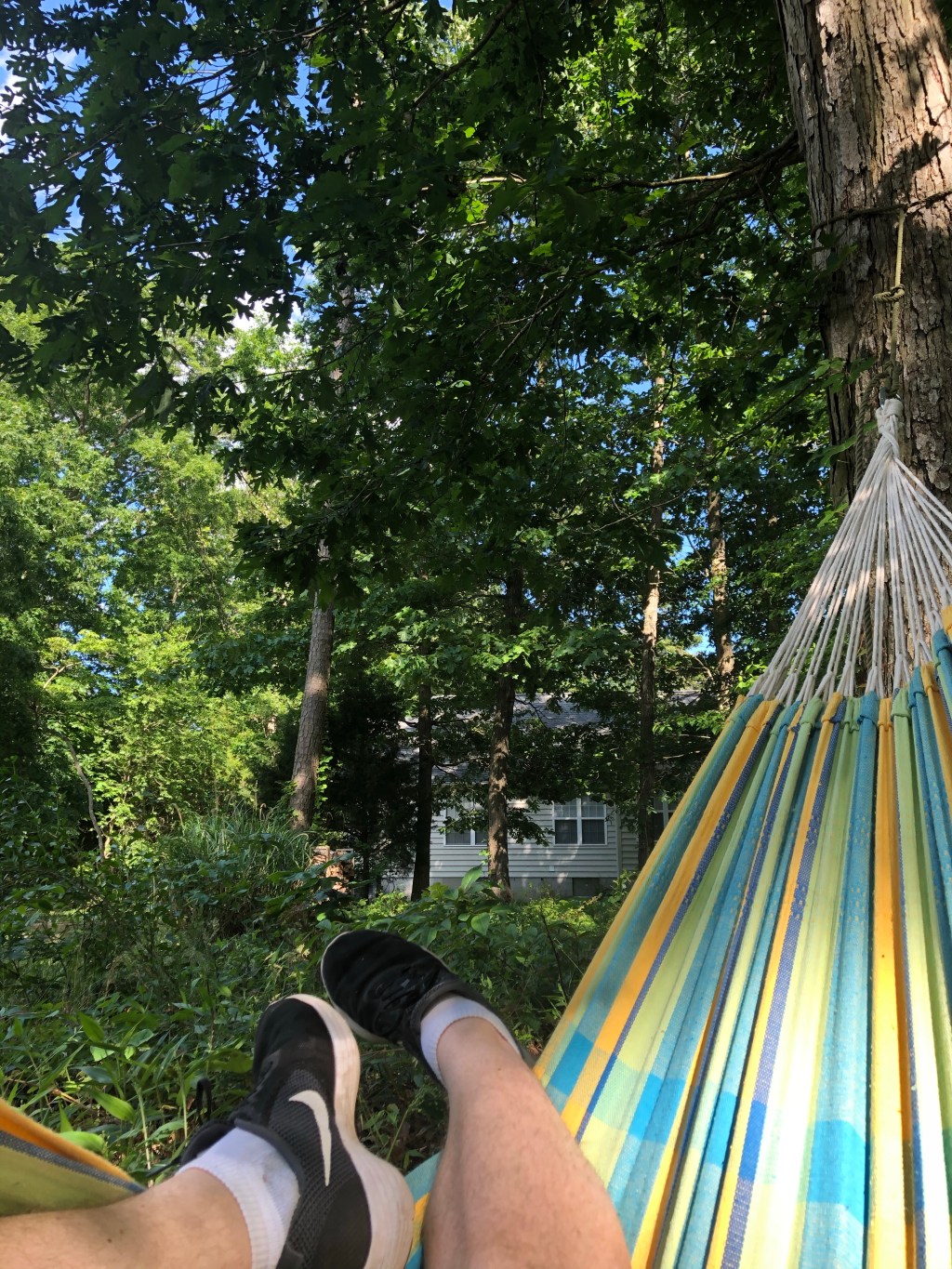 Can the weather just stay like this all the&nbsp;time?