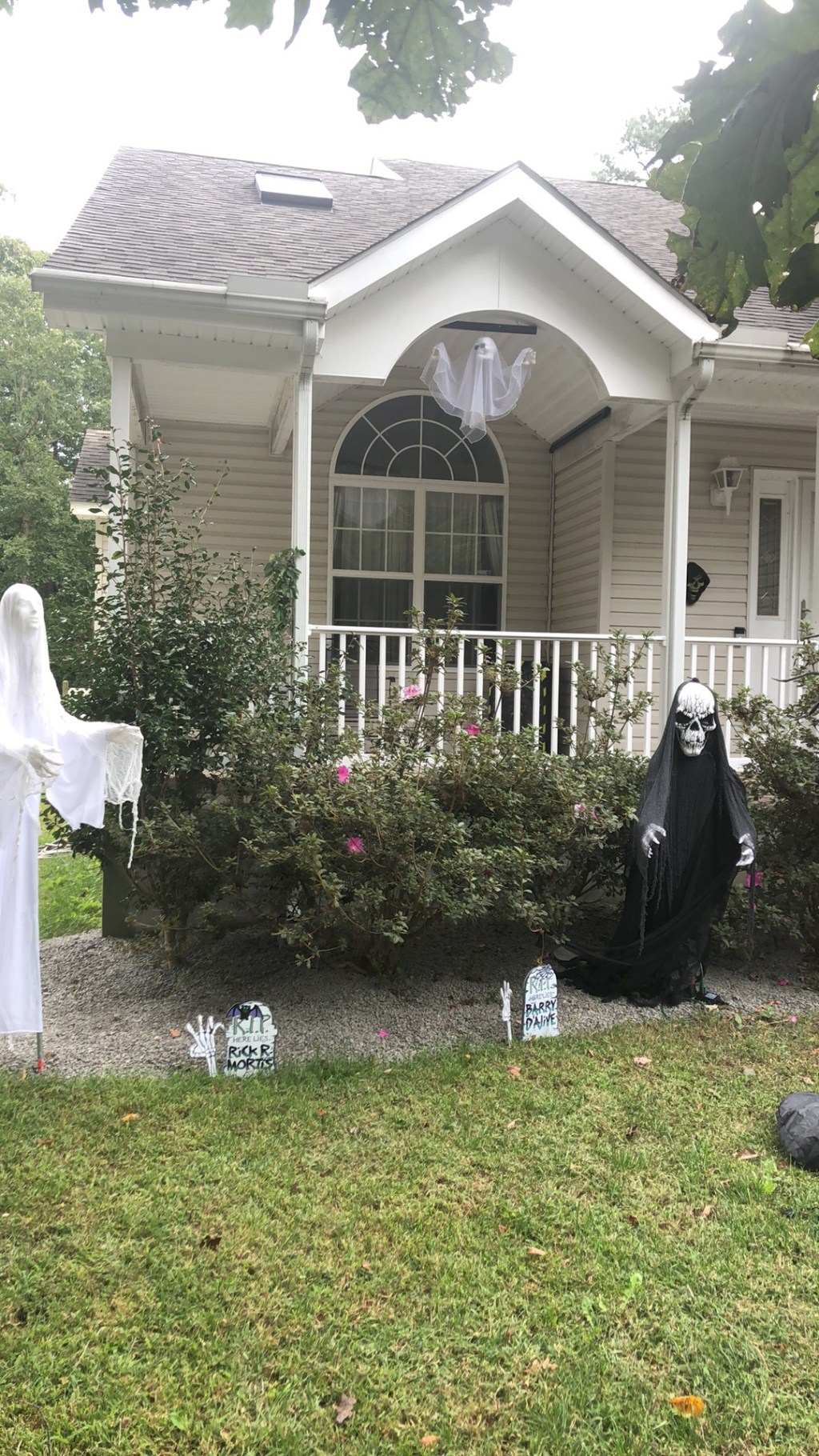 It’s a wonderful&nbsp;life