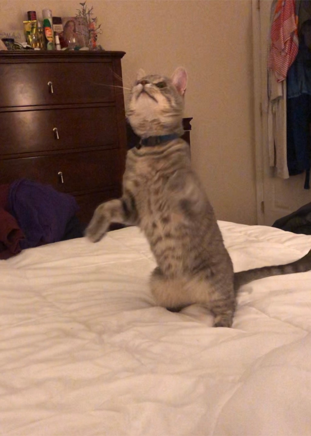 Ash’s nightly training&nbsp;session