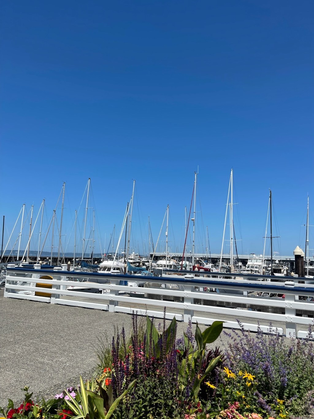 Trip to Seattle & Alaska Photo Dump – Day 12 – Whale&nbsp;Watching